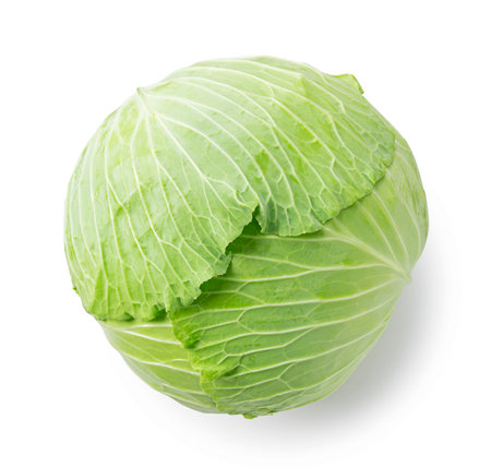 Cabbage placed on a white background. View from aboveの写真素材