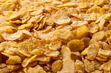 Cornflakes all over the screen. Close-up photo