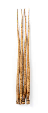 A burdock placed on a white background. Vegetable Material Photo