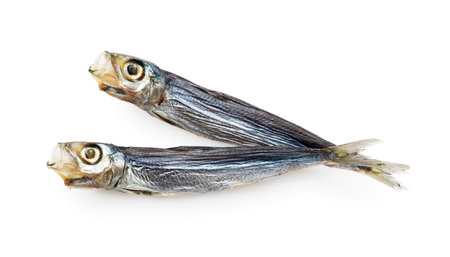 A umewashi (Japanese sardine) placed on a white background. Japanese food, dried fish.