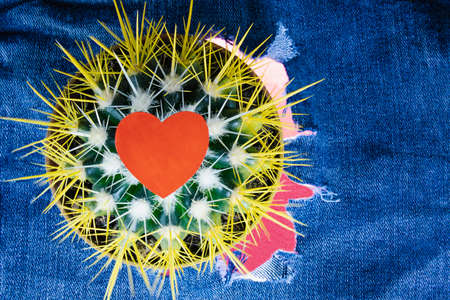 Cactus with a red heart on the background of torn denim trousers. Love and romance. Complex relationships. Valentine's Day card.の写真素材