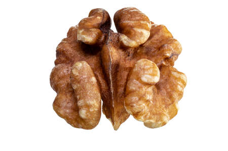 One Walnut isolated closeup without shell as package design element collection on white background. Nut macro. Walnut kernel. Full depth of fieldの写真素材