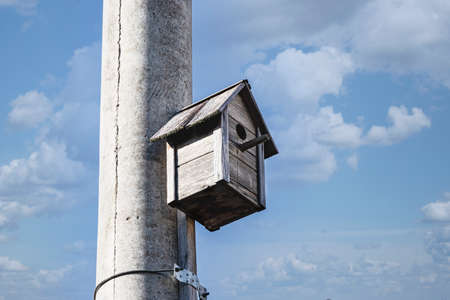 Birdhouse for birds on a concrete pole in the city center against the blue sky. Taking care of birds in a large cityの写真素材