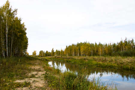 Autumn river in sedge and calamus. Relaxation and relaxation on the beach.の写真素材