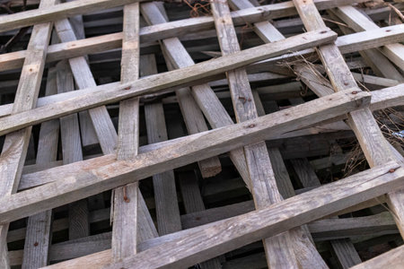 Wood lattice fence texture background. Old wooden structures in the form of latticeの写真素材