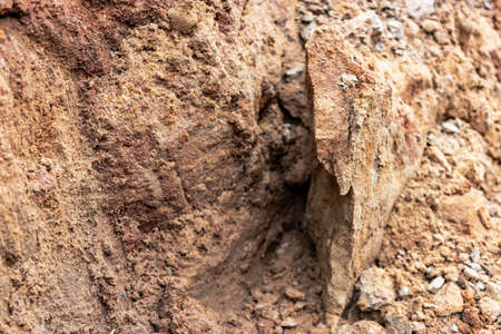 Soil on the ground as texture and backgroundの写真素材