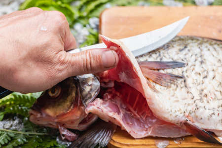 Big fresh bream. Freshly caught river fish. A man cleans the fish from scales. Fishing for spinning...
