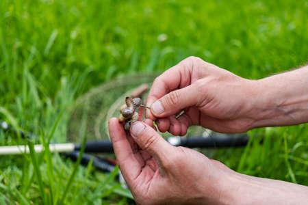 Close up Men's hands put bait on hook to fish with fishing rod. Lifestyle, recreation, leisure concept. Fisherman. Catching fish on the larva of the cockchaferの写真素材