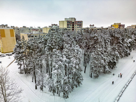 Families and individuals walk through a snowy park, savoring the winter wonderland near cozy residential buildings.の写真素材