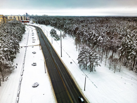 A snowy road bordered by tall trees features pedestrians enjoying a winter stroll in a serene, urban environment.の写真素材