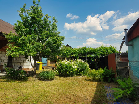 A lush backyard fills the view, showcasing a blooming garden with a variety of plants and a large tree under a bright blue sky, creating a peaceful atmosphere in rural living.の写真素材