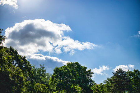 Fluffy white clouds drift lazily across a clear blue sky while vibrant trees display their rich...