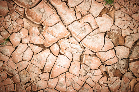 Parched ground showcases deep fissures and rough textures, highlighting the effects of prolonged...