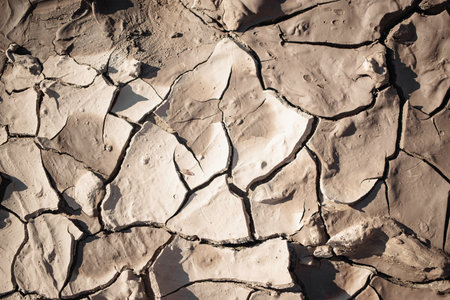 Barren ground features intricate lines of cracked clay, indicating drought and lack of moisture in...