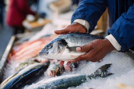 Fisherman's hands skillfully hold a fresh sea bass on ice at a bustling urban street market stall, surrounded by various deep-sea fish being displayed.の素材
