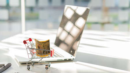 The dollar in the cart on the table on the table background with a laptopの写真素材