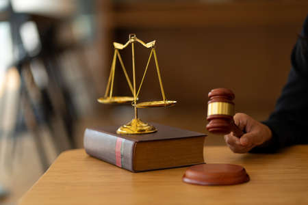 Law office lawyers working with hammers and scales with contract documents with legal tiger skins on...