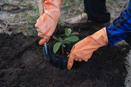 Man is planting trees and to help increase oxygen in the air and reduce global warming, save the...