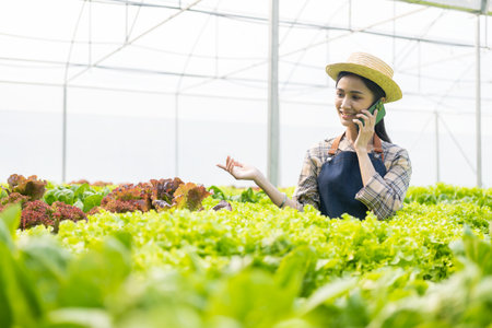 Friendly asian female farmer vegetable garden owner smiling and holding smartphone taking order name...