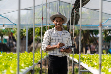 A young vegetable gardener inspects green acorns and lettuce at the greenhouse farm. Asian farmers happy farming hydroponics vegetables.の写真素材