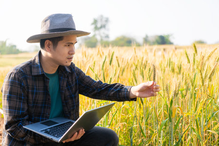 Asian man smart farmer using modern digital technology by laptop computer in barley field for industrial development.の写真素材