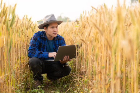 Asian man smart farmer using modern digital technology by laptop computer in barley field for industrial development.の写真素材