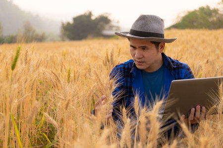 Asian man smart farmer using modern digital technology by laptop computer in barley field for industrial development.の写真素材