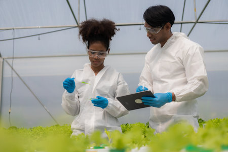 African American researcher and plant genetics expert. Test the quality and bacteria in the hydroponics vegetable garden. Researchers are collecting samples to test vegetables growの写真素材
