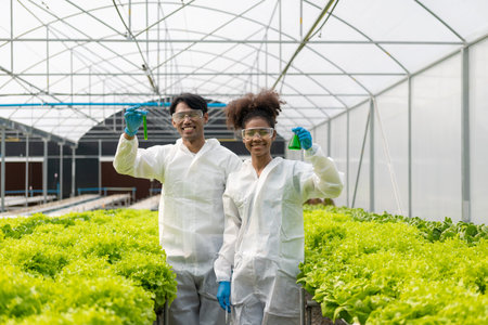 African American researcher and plant genetics expert. Test the quality and bacteria in the hydroponics vegetable garden. Researchers are collecting samples to test vegetables growの写真素材