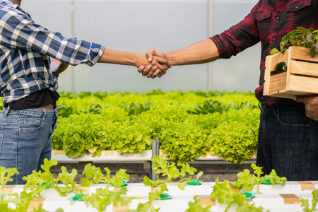 Young beautiful farmer girl holding hands with young man on hydroponics organic vegetable farm...