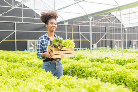 Young African American farmer worker inspects organic hydroponic plants with care and smiles happily: Organic hydroponic growing business, green plants in greenhouse farming farm mの写真素材