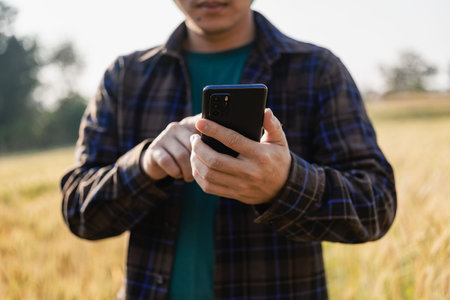 Agronomists examine and compare ripe wheat with young wheat. bountiful harvest concept Farmer with digital tablet in hand to check using technologyの写真素材