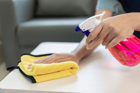Maid wearing an apron provides cleaning services at home. Close-up of a young woman cleaning a new house or apartment while moving in copy spaceの写真素材