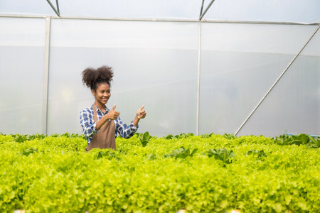 Young african american woman working in hydroponic vegetable farmの写真素材