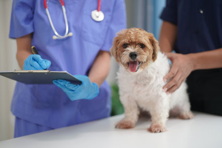 At a modern veterinary clinic, a Panshi Tzu puppy sits on an examination table. Meanwhile, a female...