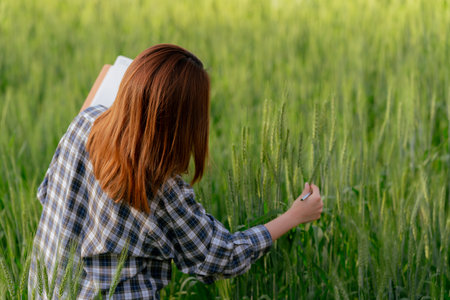 Asian agricultural woman holds laptop to check barley quality before harvestingの写真素材