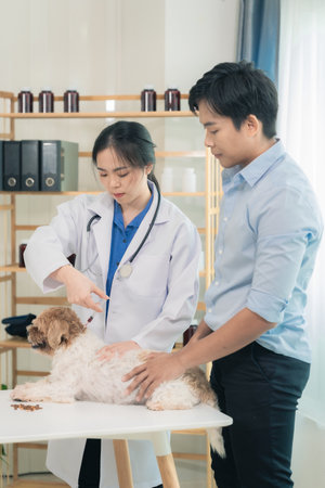 A friendly male veterinarian in uniform examines a cute dog while his female assistant looks after...