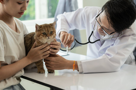 Appointment at veterinary clinic, professional male working on examination table with cat owner and examining little kittenの写真素材