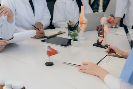 Anatomy for university students or young doctors working with human skeleton model with body organs medical research conceptの写真素材