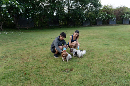 Asian couple walking with their dog in the park in the morning. Friendly pets, a healthy morning...