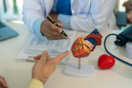 A doctor is explaining a heart model to a patient to give advice about heart disease and heart...