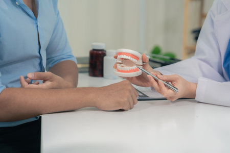 An orthodontist demonstrates a model of a patient's teeth. The dentist explains techniques for cleaning, examining, and maintaining oral health. Close-up view.の写真素材