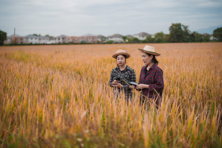 Two Asian soil scientists are conducting research using tablets in rice paddies, demonstrating smart farming and modern agricultural technology.の写真素材