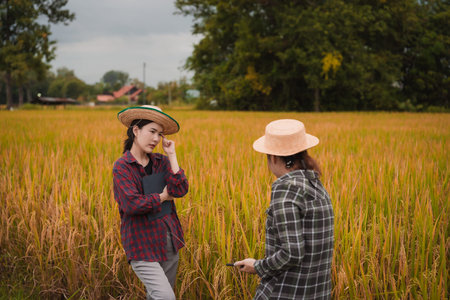 Two Asian soil scientists are conducting research using tablets in rice paddies, demonstrating smart farming and modern agricultural technology.の写真素材