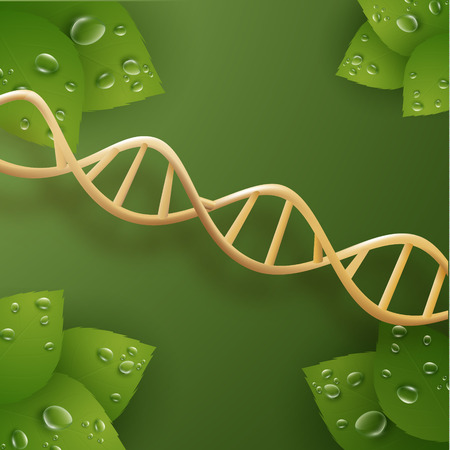 Organic skin care cosmetics vector background. EPS10のイラスト素材