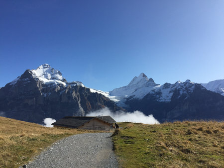 Beautiful view of a hiking trail in Grindelwald, Switzerland.の写真素材