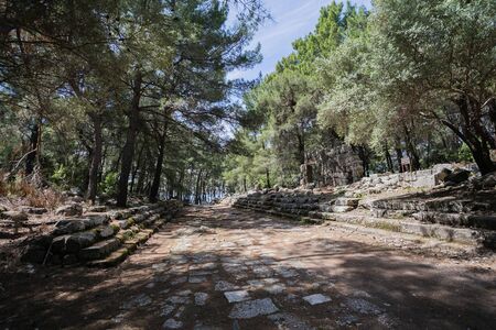Paved street in ancient city of Phaselis located in pine forest in Antalya Turkeyの写真素材