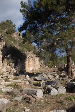 Collonade street in ancient city of Syedra in Antalya province of Turkey  portrait layout with cloudy sky and pines shot on sunny dayの写真素材