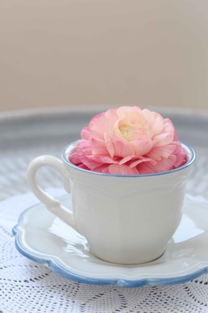 Tea cup with pink ranunculus flowers in it placed on handmade woven napkin and metal tabletop against light blurred background shot in portrait layoutの写真素材