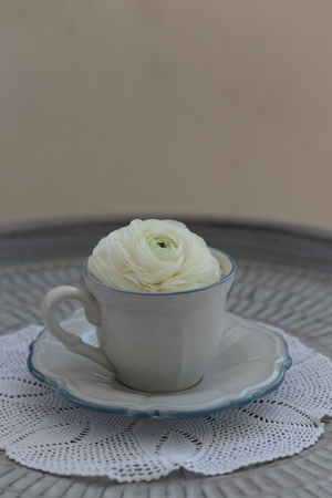 white ranunculus in cup placed on white woven hand made napkin and metal tray